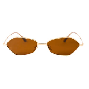 Hexagon Gold Polarized Brown Sunglasses